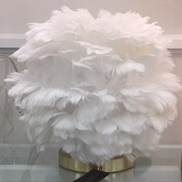 rachel zoe pink feather lamp